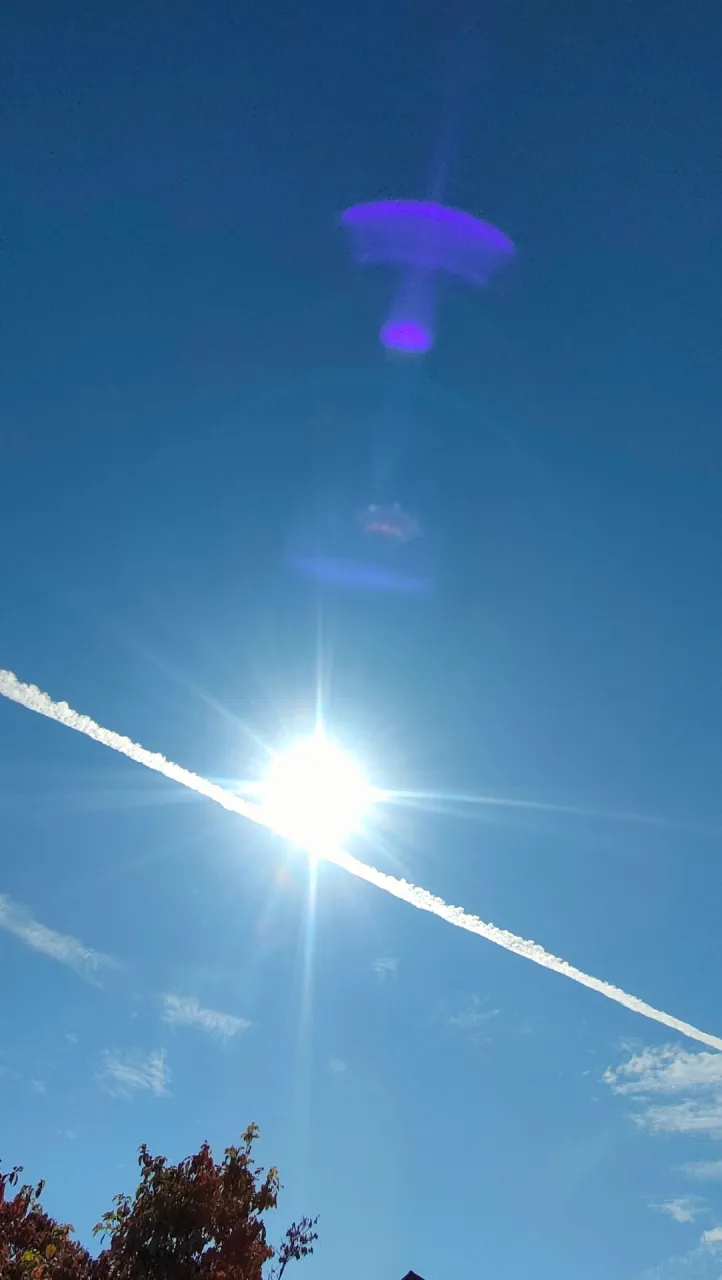 秋の空