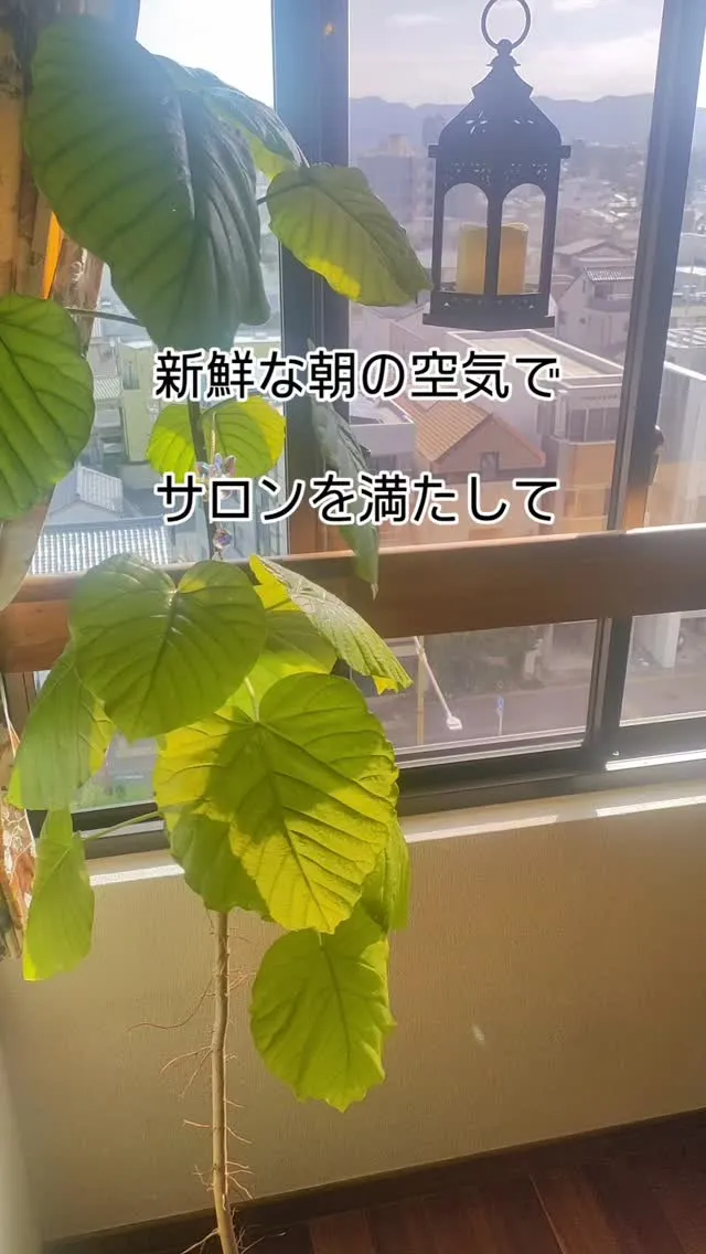 豊橋で微弱電流のマッサージをお探しなら