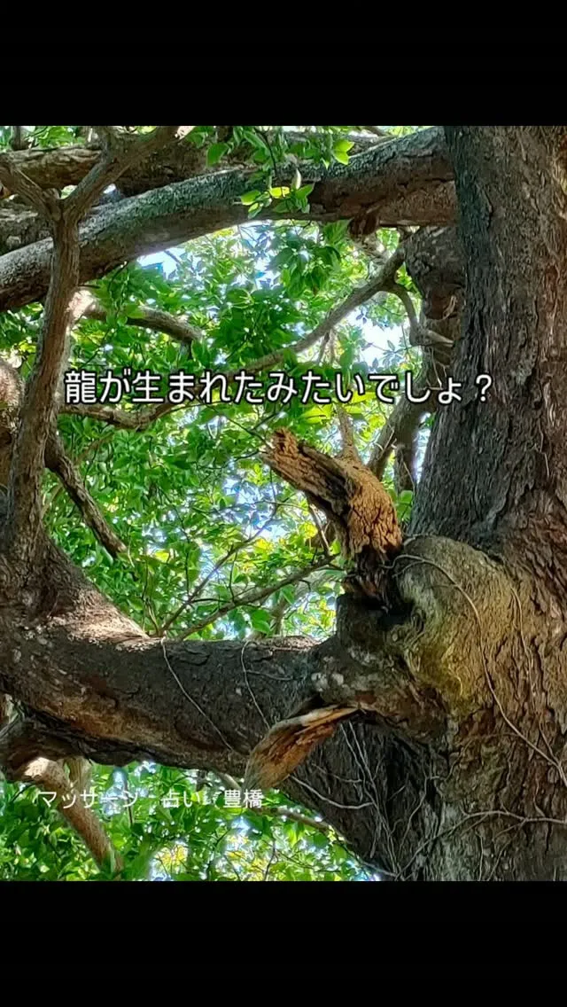 豊橋でマッサージ、占いをお探しなら。