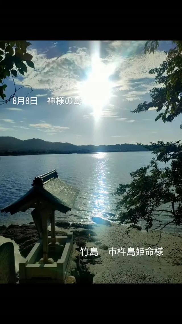 8月8日ライオンズゲート最大開放